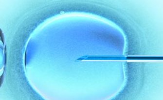 2026年成都试管婴儿助孕机构排行榜：哪些机构实力雄厚，前三甲机构必看！