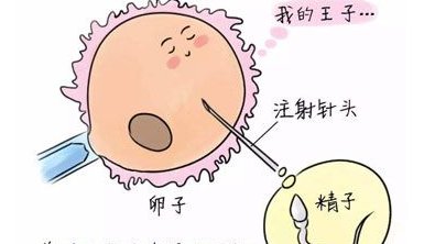 单身妈妈做试管要哪些手续？单身做试管会面临哪些挑战？