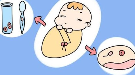 温州无结婚证能做试管婴儿吗？2026未婚单身试管费用／成功率解读