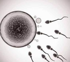 淮安试管费用及成功率是多少？附详细试管流程