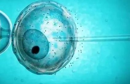 2026年没有卵泡去牡丹江做试管费用解析，一般需要准备多少？