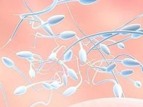 2026年徐州助孕机构全程费用透明公开，揭秘成功率真相！